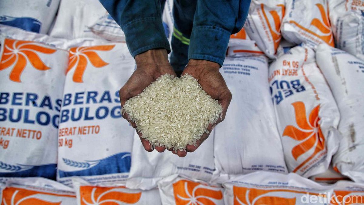 Bulog Beras Impor di Indonesia Capai 2,2 Juta Ton Sepanjang Tahun Ini
