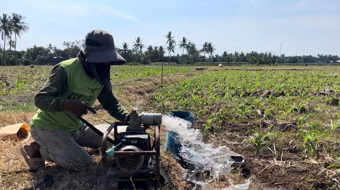 Pompanisasi Sawah Yang Ditenagai Aliran Listrik PLN Kini Dinikmati Petani