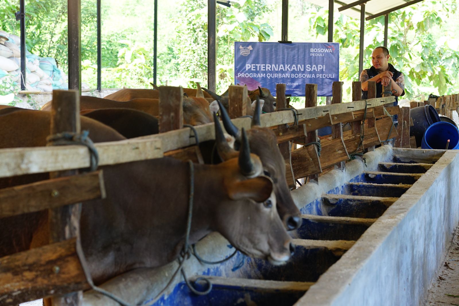 Bosowa Peduli Luncurkan Program Qurban untuk Warga Mamminasata dan Palestina
